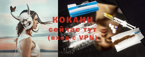 эйфоретик Аркадак